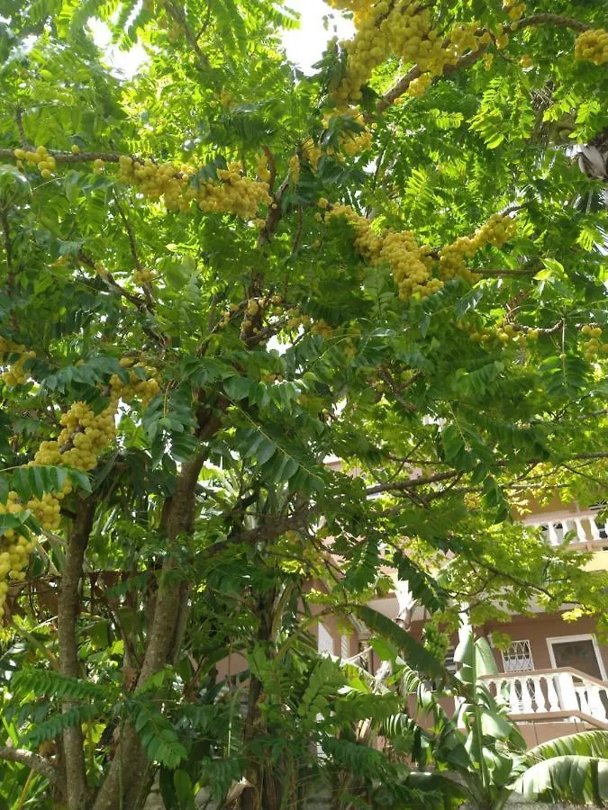 Spiceisle Mint - Tiny Living 招待所 Golflands
